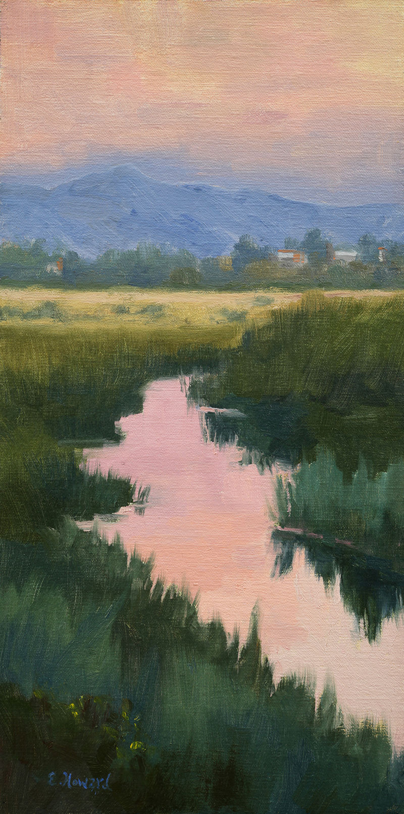 ellen Smokey Sunset 4.JPG